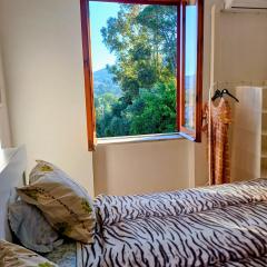 Tra Mare e Collina c'è Belmare