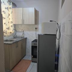 Partitioned Studio Apartment near JKIA SGR