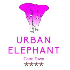Urban Elephant Express, The Flamingo