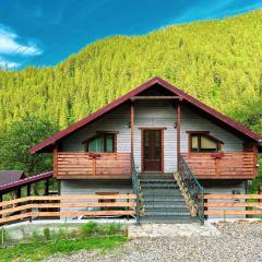 Котедж EmiLi HousE