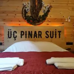 Üç Pınar Cafe Bungalov & Restorant