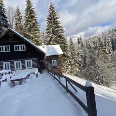 Chata v Krkonoších, 6 rooms, 25 beds
