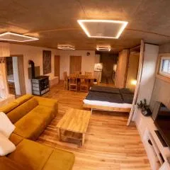 Apartmán U Holoubka