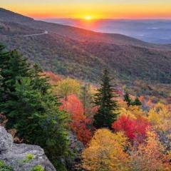 Soaring Eagle by Avada Properties