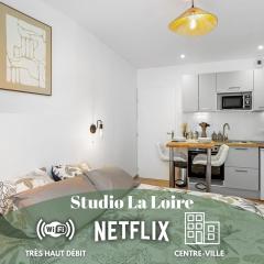 Centre-ville - Fibre - Netflix - Studio la Loire