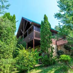 My Pigeon Forge Cabin