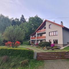 Apartment Radčice 80m2