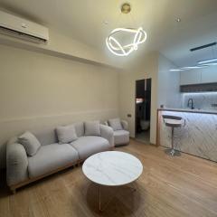 Luxury apartment in downtown 14