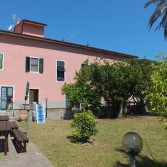 Elba Casale al Mare Cm2a