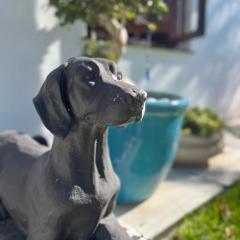 Helder Haven Cottage