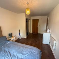 Heavenly Nest Leytonstone London service accommodation