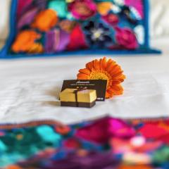 Riviera del Sol Amazing Double Queen Deluxe Suite 204