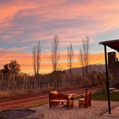 Cactus del Talampaya 1