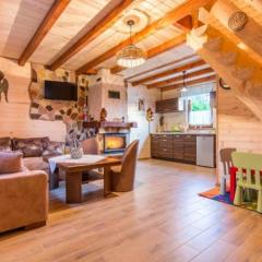 Domki u Michała nad Soliną