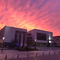 Disneyland smart appartement