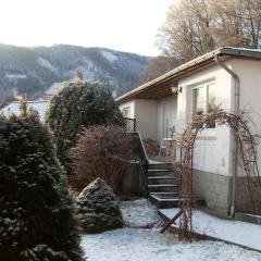 Holiday home in Harz with 2 bedrooms