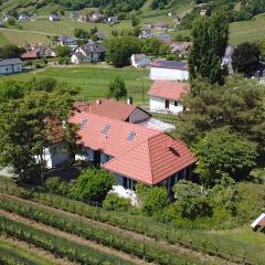 Kellerstöckl - Zur Weinrebe