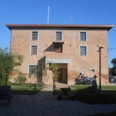 Rotreiher Urlaub Am Trasimeno See