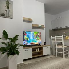 Main apartment Bulevard 5