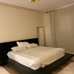 Villa In 5th Settlement