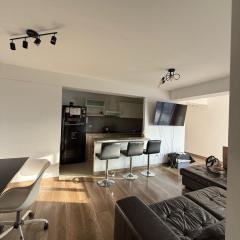 Modern 3BR 2Bath Apt w Pool Grill Zone Miraflores