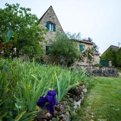 Maison en pierre avec grand jardin, terrasse, cheminée, proche des sites préhistoriques des Eyzies - FR-1-616-174