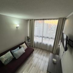 Hermoso depto 1 dormitorio en Carmen 110, Santiago