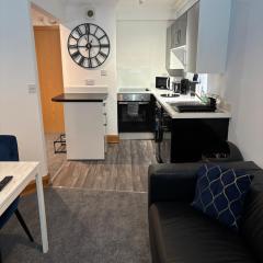 Stylish 1 bedroom apartment in Norwich city centre
