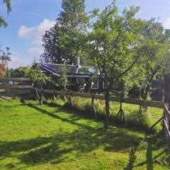 Natuurhuisje Hoogeloon PMV