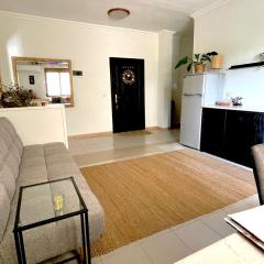 Apartament Synergy Viktoria