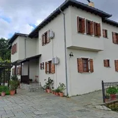 Olga Studios