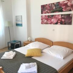 Appartementanlage Vila Anica Mit Schönem Pool
