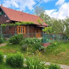 Kokotova hiža
