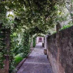 Corte Piri