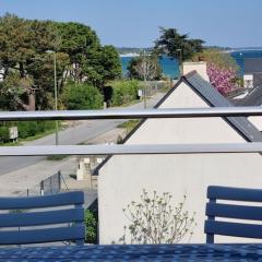 Appartement T3, proche plage et commerces, animaux admis - FR-1-775-23