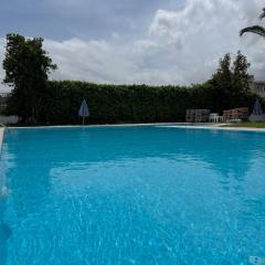 Zac & Georgio Studios