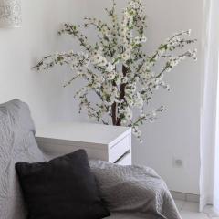 Palm Beach Studio Right Next To The Sea