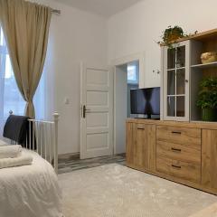 Castanilor 12-Parking Included