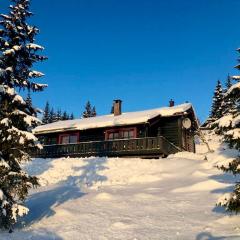 Large cabin at Sjusjøen with sauna, fireplace, view and cross-country skiing