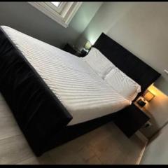 Portobello sleep and eat