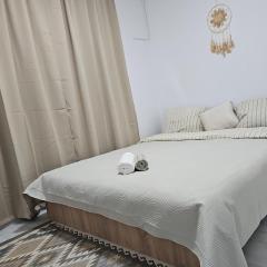 Apartment cochet, parcare publica fără plata, Self Non Stop check in