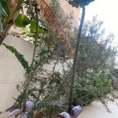 Rez de chaussée à l'Aouina