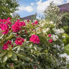 Wohnung OG links ID 272