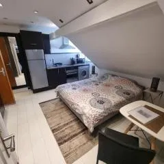 Nice Studio near city center & Lake