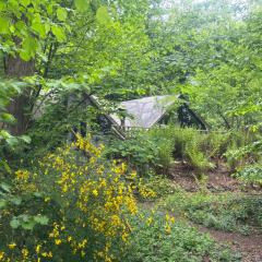 Chalet Scandinave avec sauna IR - In the Woods