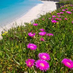 Palma Residence Salento