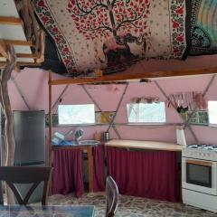 PinoPerdido Olías Málaga