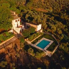 Podere di Montecchio - Le Andane