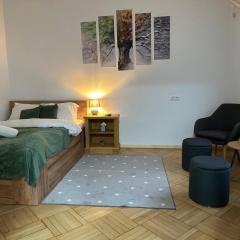 Affordable 1Br Apt in Downtown