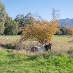 House Horse & Hound on Argelins